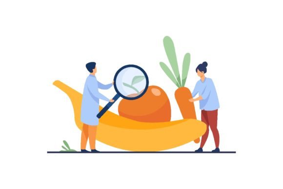 Download Biology Scientists Doing Research on Fru - Biology Collection