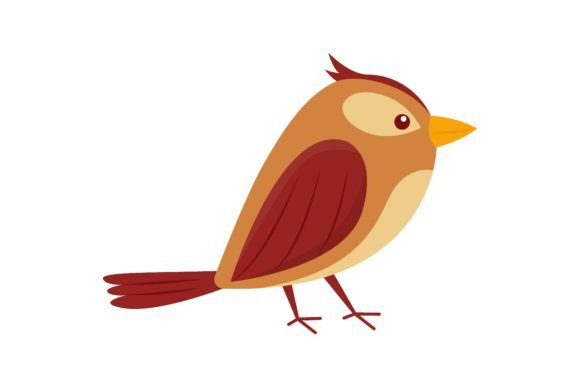 Download Cartoon Drawing of Forest Bird Jay Isola - Forest bird Collection