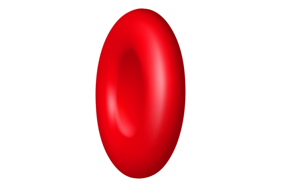 Download Red Blood Cell. Human Biology Education - Biology Collection