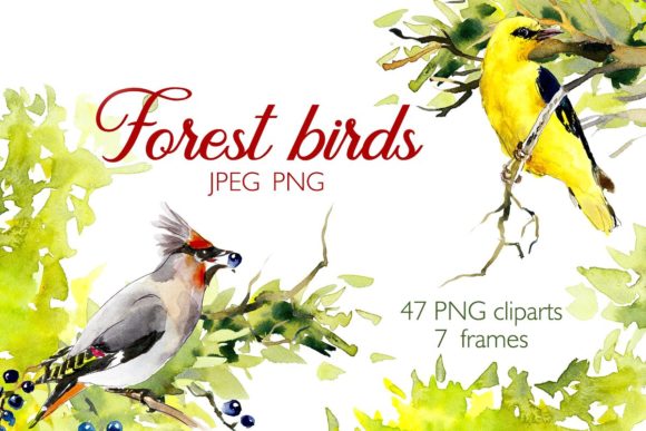 Download Watercolor Forest Bird Frames - Forest bird Collection