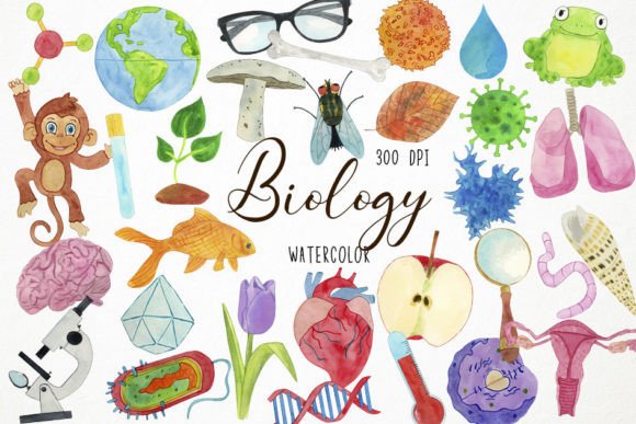 Download Watercolor Biology Clipart, Biologist - Biology Collection