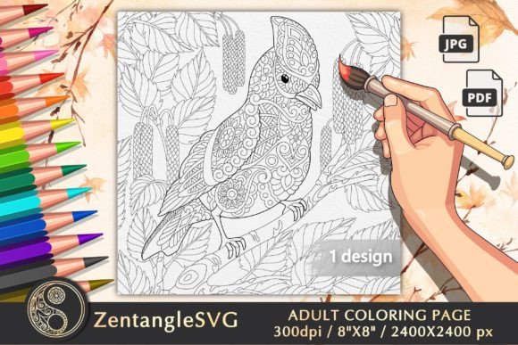 Download Tropical Forest Bird Adult Coloring Page - Forest bird Collection