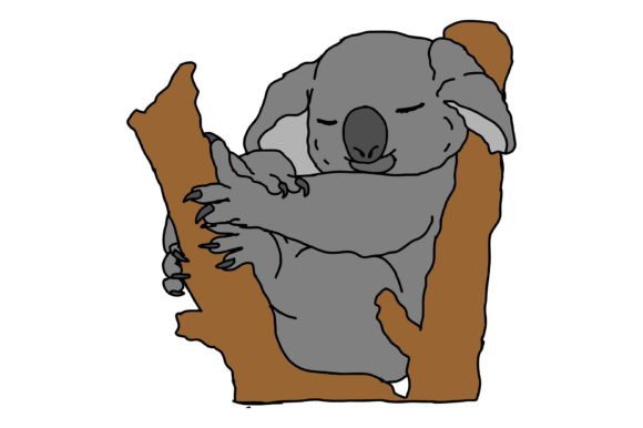 Download Adorable Koala Sleeping on the Tree - Adorable koala Collection