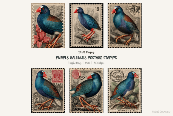 Download Purple Gallinule Postage Stamps 24 Png - Premium Resources