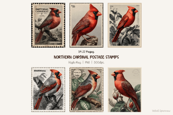 Download Northern Cardinal Postage Stamps 24 Png - Premium Resources