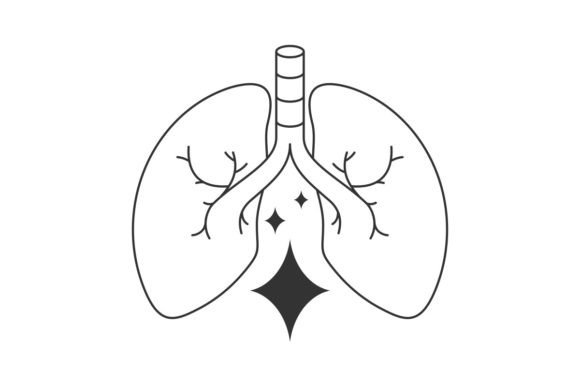 Download Lung Human Anatomy Biology Organ Body - Biology Collection