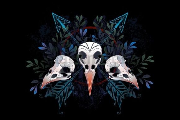 Download Forest Bird Skulls - Forest bird Collection